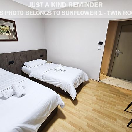 Sunflower Rooms Tirana Exterior photo